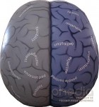 Cerveau gonflable géant