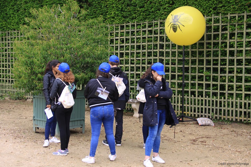 ballon sur trépied jaune 80cm dans le parc du château de Versailles