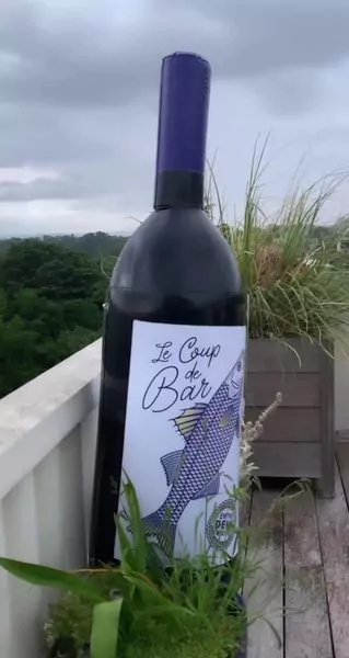 PLV Bouteille de vin 2m terre de vignerons 2, forme sur mesure, coup de bar