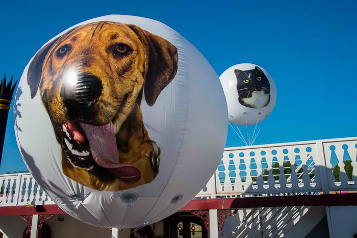 ballon géant 2.5m spa avec un chien