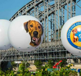 ballon publicitaire exterieur pour evenement organis&eacute; par la SPA &agrave; paris